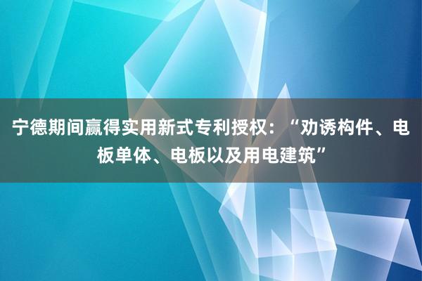 宁德期间赢得实用新式专利授权：“劝诱构件、电板单体、电板以及用电建筑”