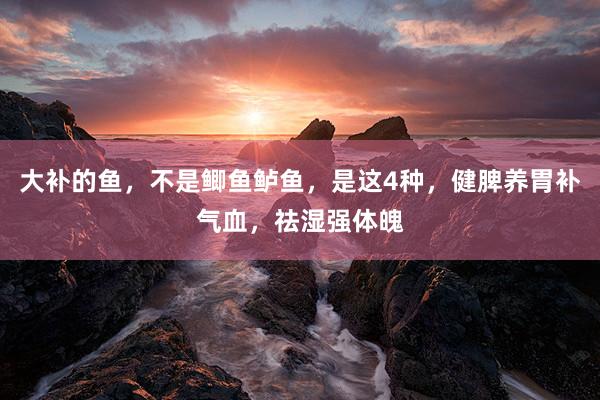 大补的鱼，不是鲫鱼鲈鱼，是这4种，健脾养胃补气血，祛湿强体魄